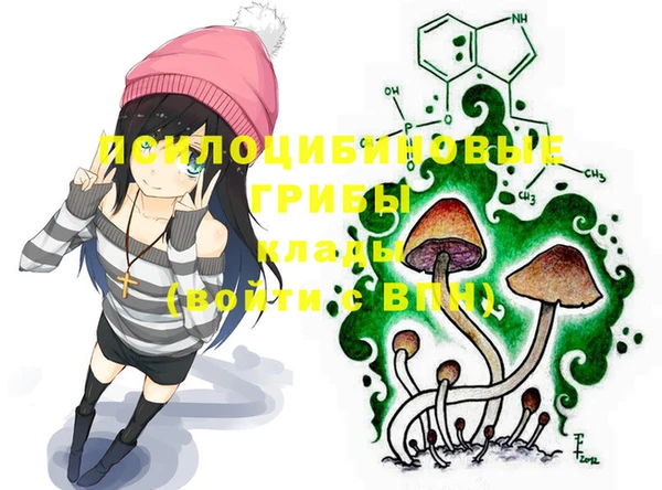 шишки Козельск