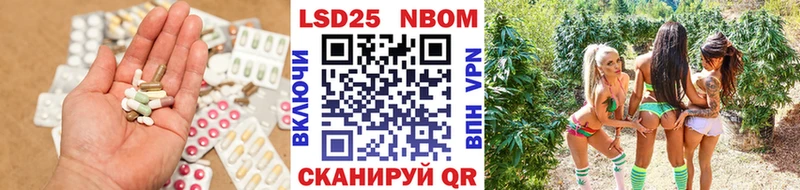где купить наркотик  Новороссийск  Лсд 25 экстази кислота 
