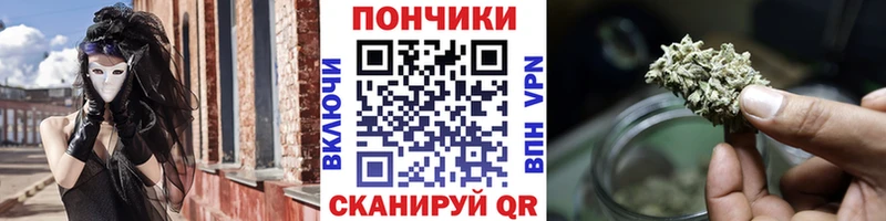 продажа наркотиков  Новороссийск  Каннабис индика 